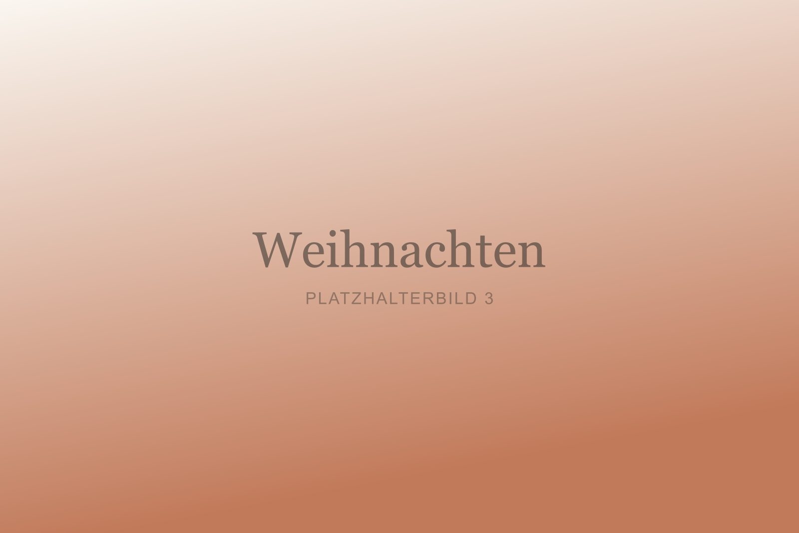 Weihnachtliches Familienshooting mit Lichterketten