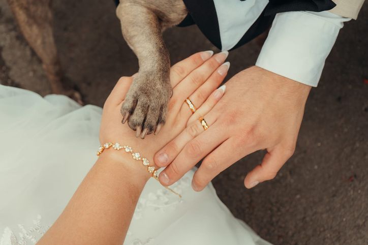 Hund legt seine Pfote auf die Hand der Braut neben den Eheringen
